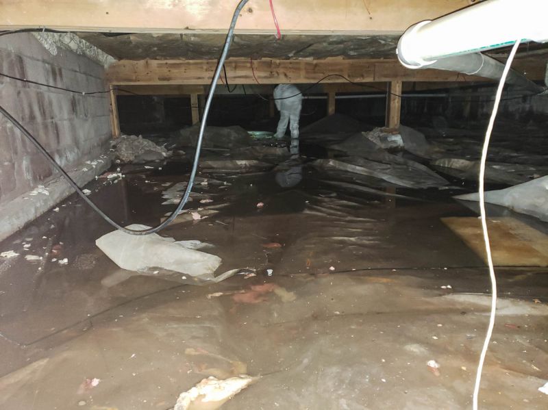 Emergency Water Removal in Wilmington, NC