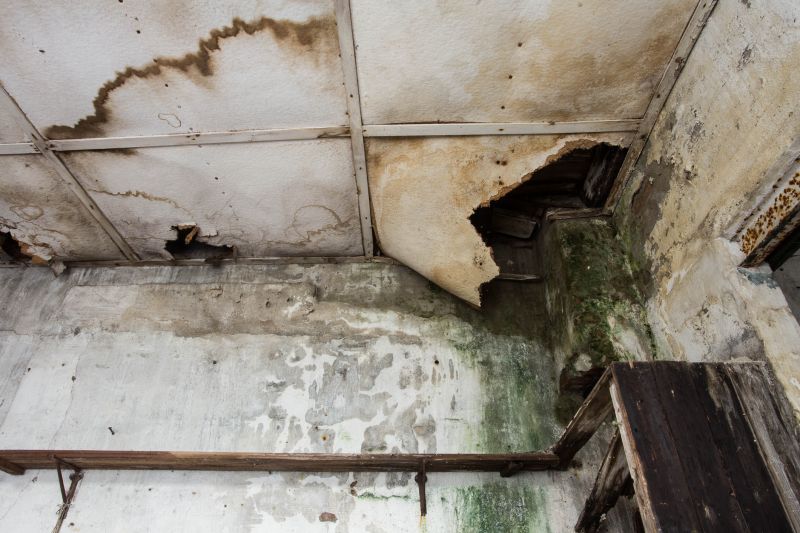 Water Damage Repair in Mesa, AZ
